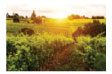outdoors and trail month image
